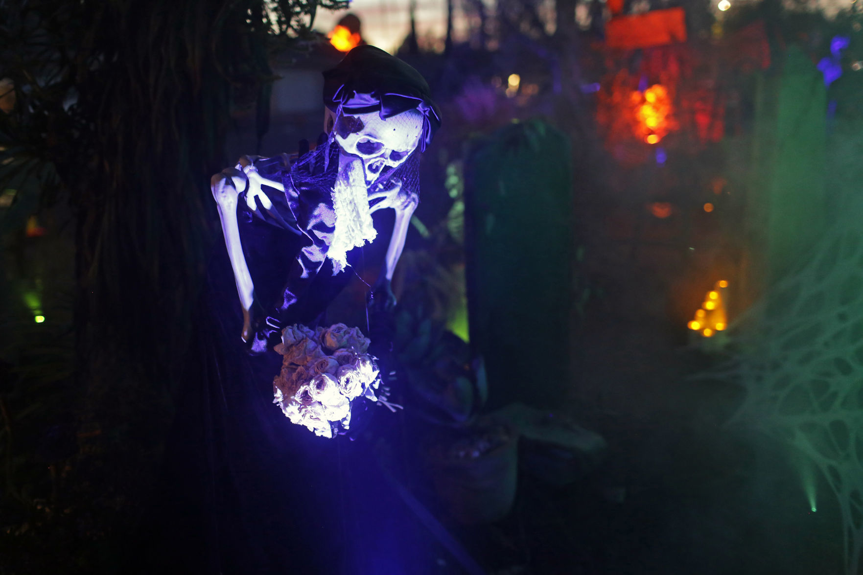 Evil Vines Cemetery